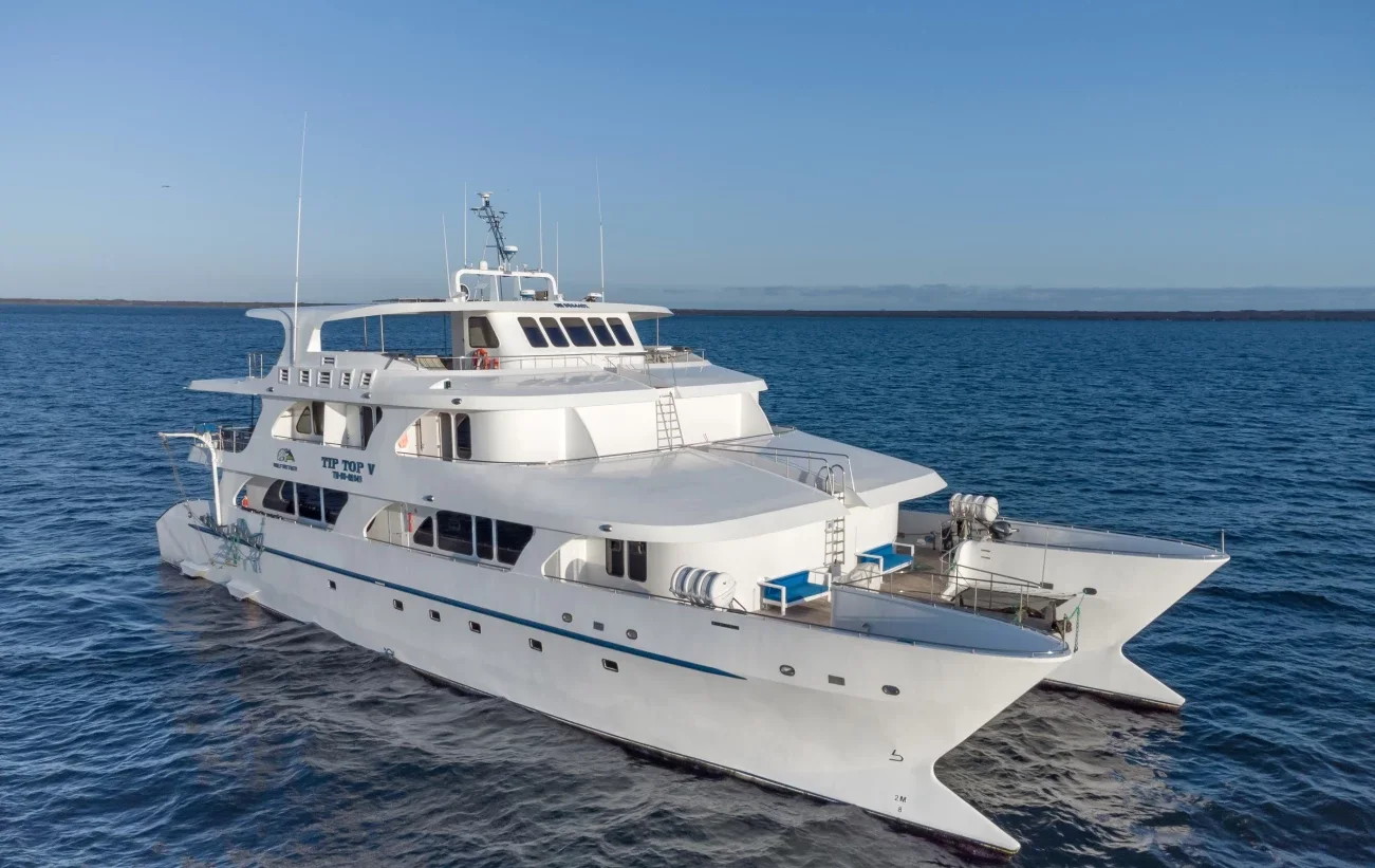 Tip Top V cruise